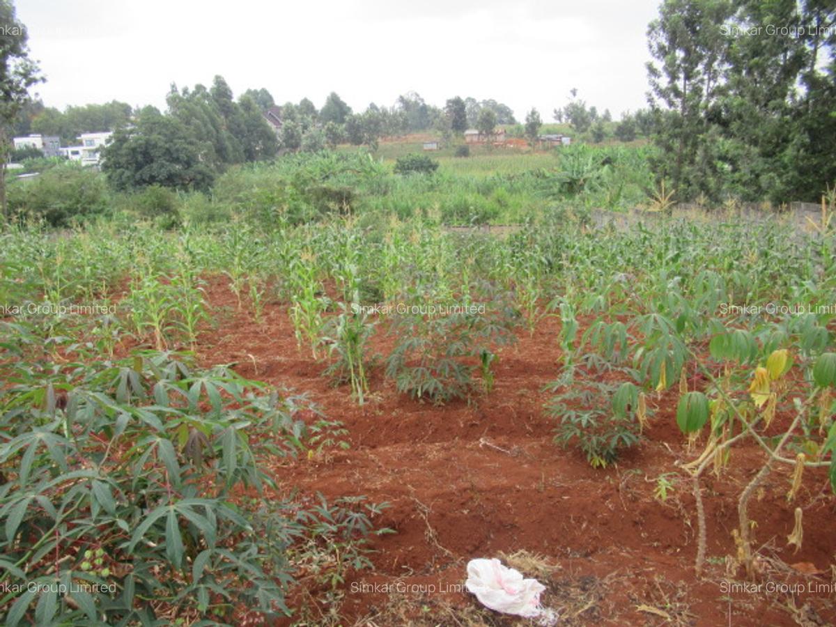 Residential Land at Mushroom Gardens - 5