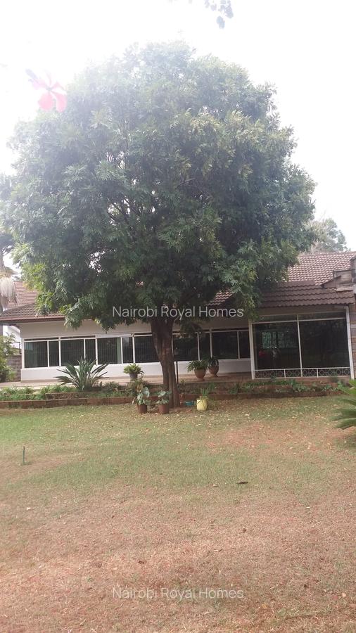 Commercial Land at Link Road - 4