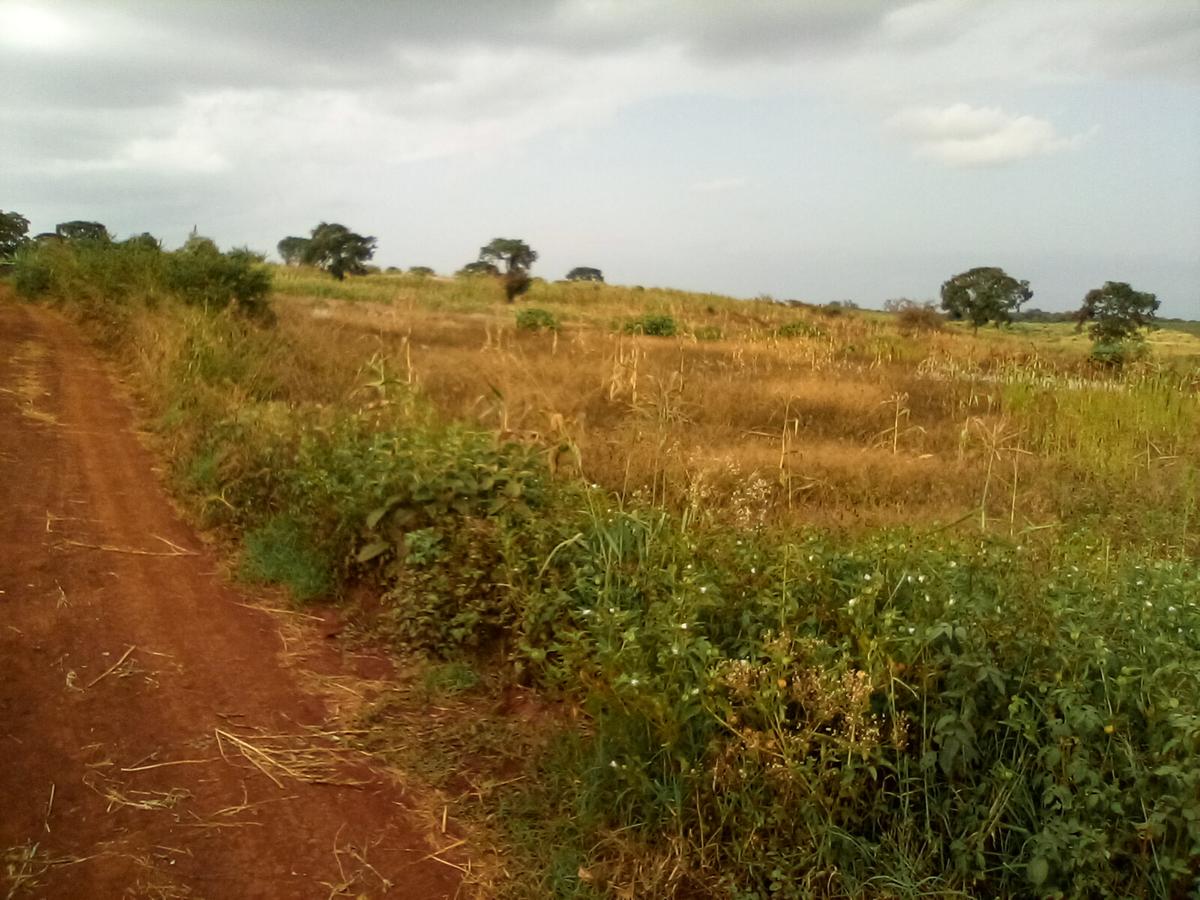 Land at Manira Trail - 6