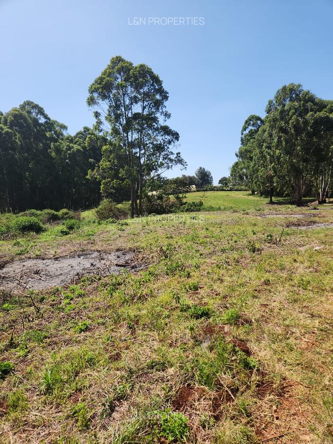 Residential Land at Runda Paradise - 6