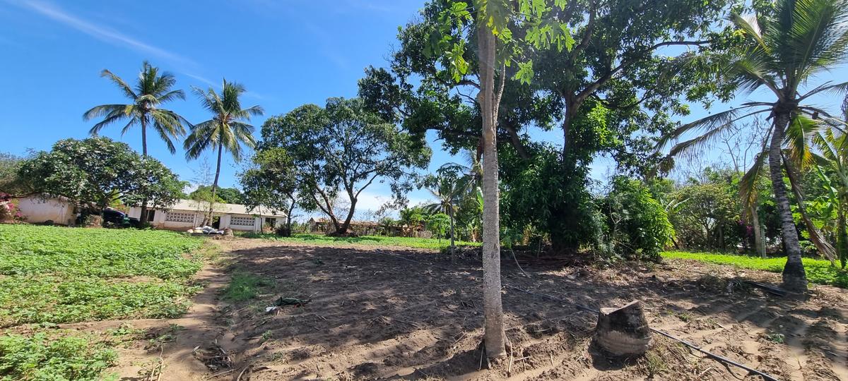 3 ac Land at Mtwapa - 3