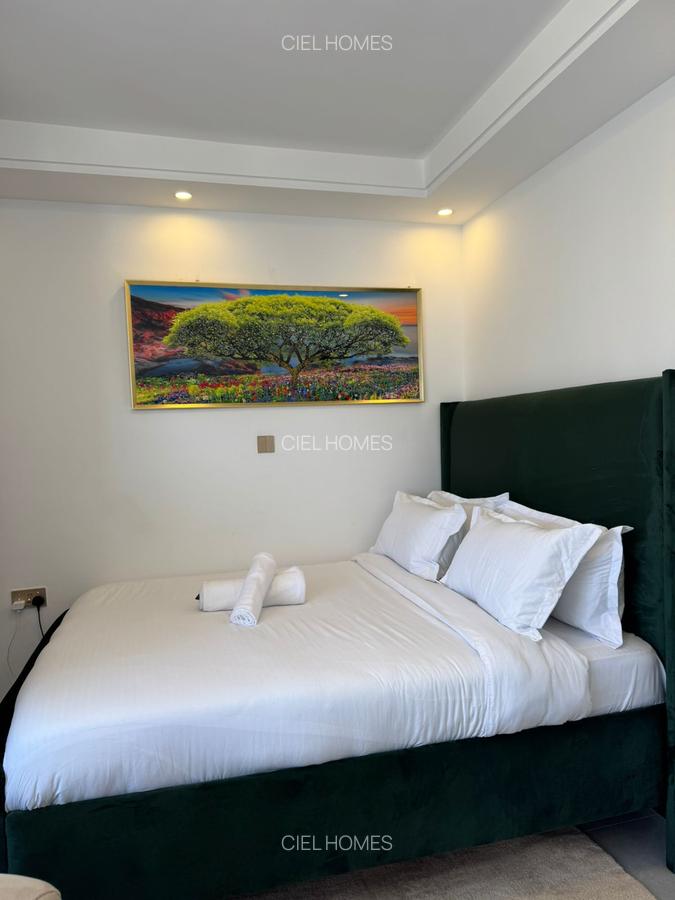 Serviced Studio Apartment with En Suite in Lavington - 10