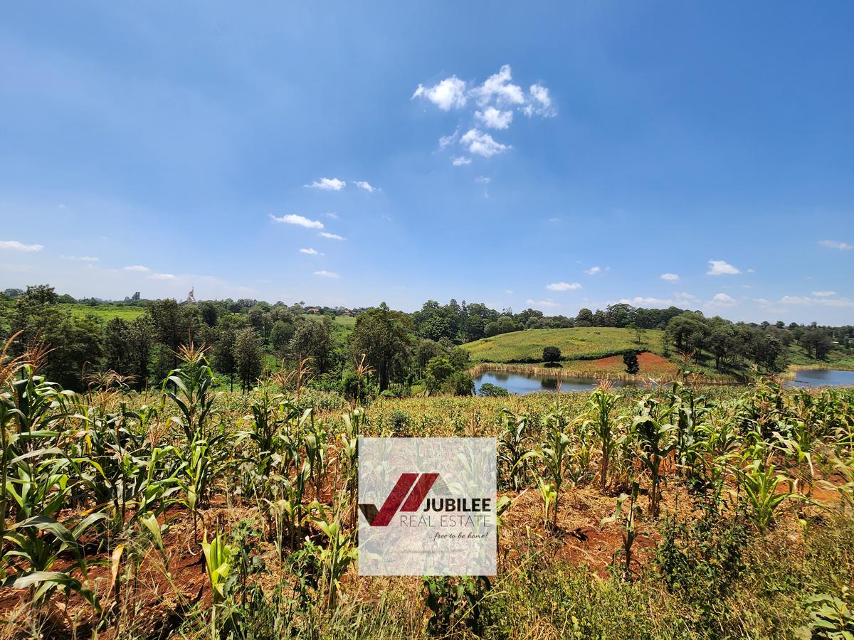 25 ac Land in Kitisuru - 8