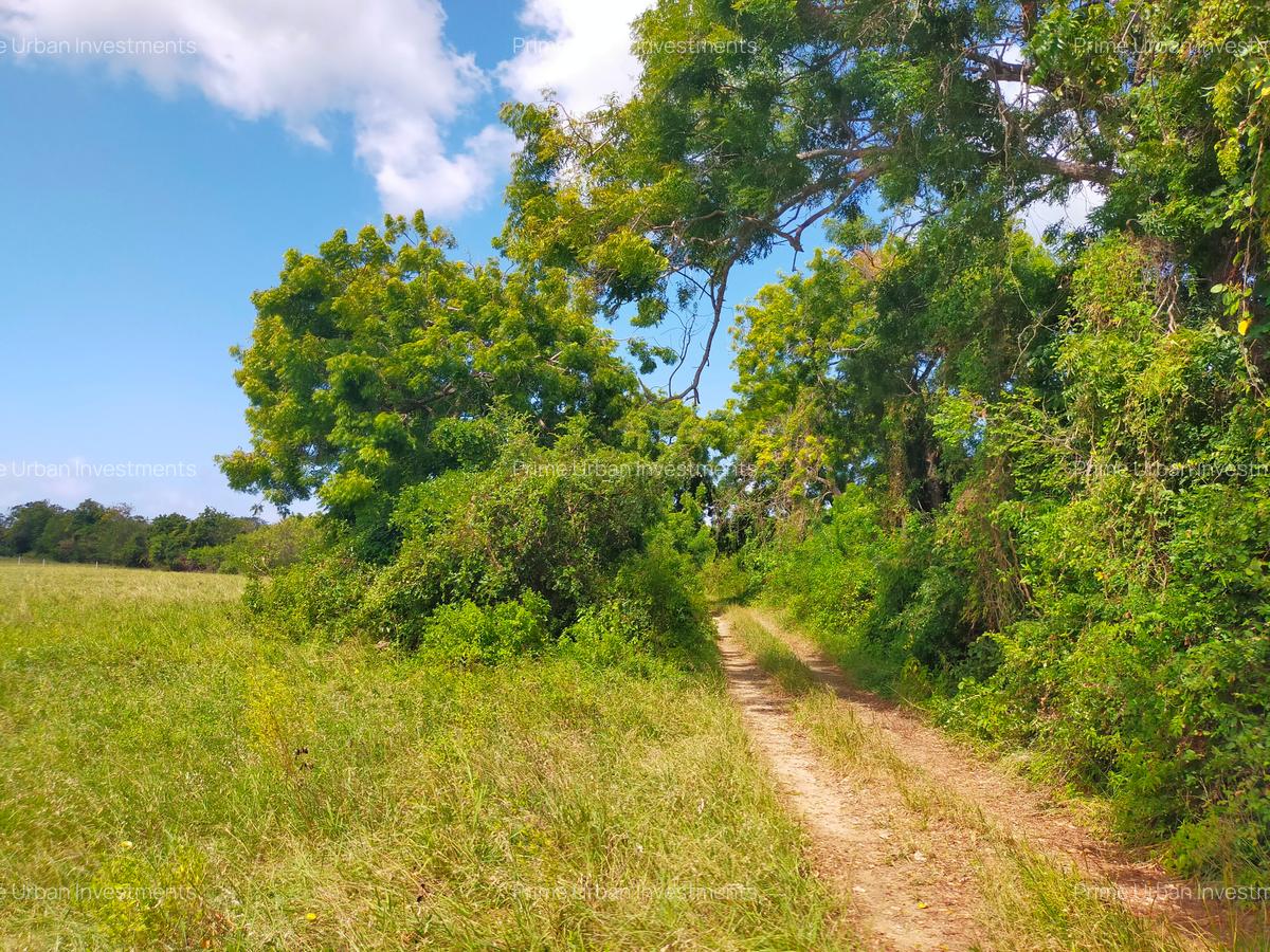 Residential Land in Kilifi - 13