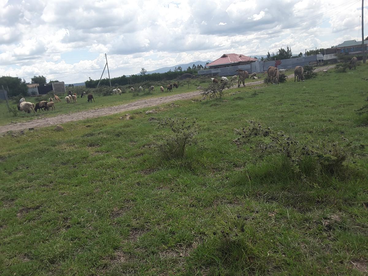 0.1 ha Residential Land in Ongata Rongai - 11