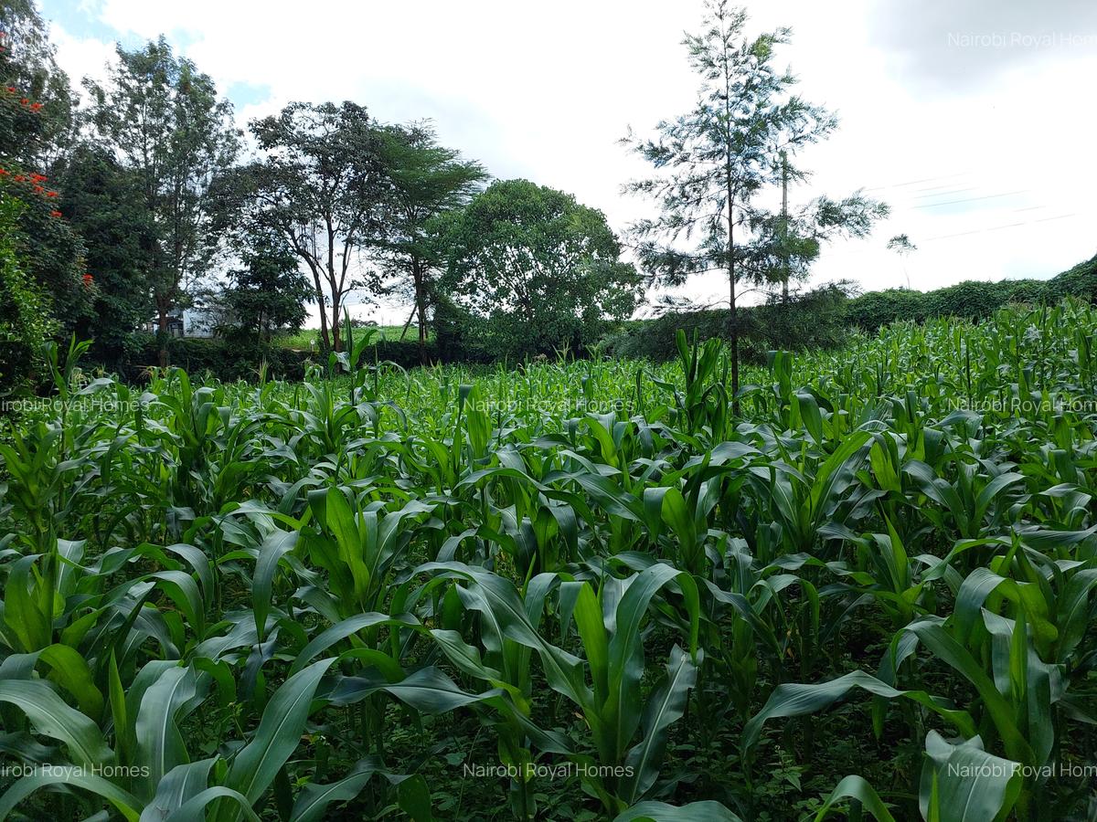 Land at Kirawa Road - 11