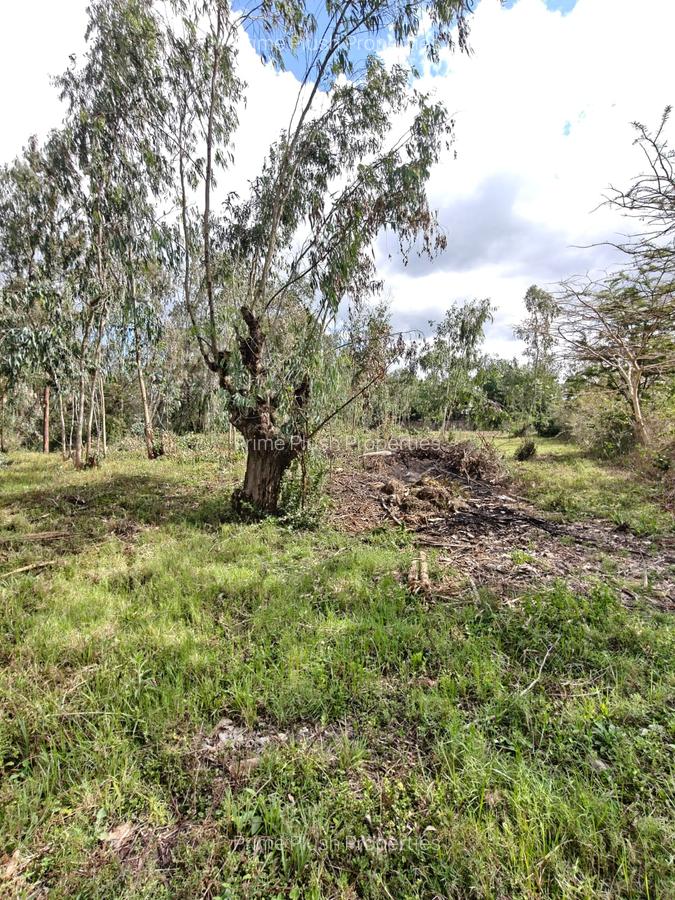 0.5 ac Land in Karen - 7