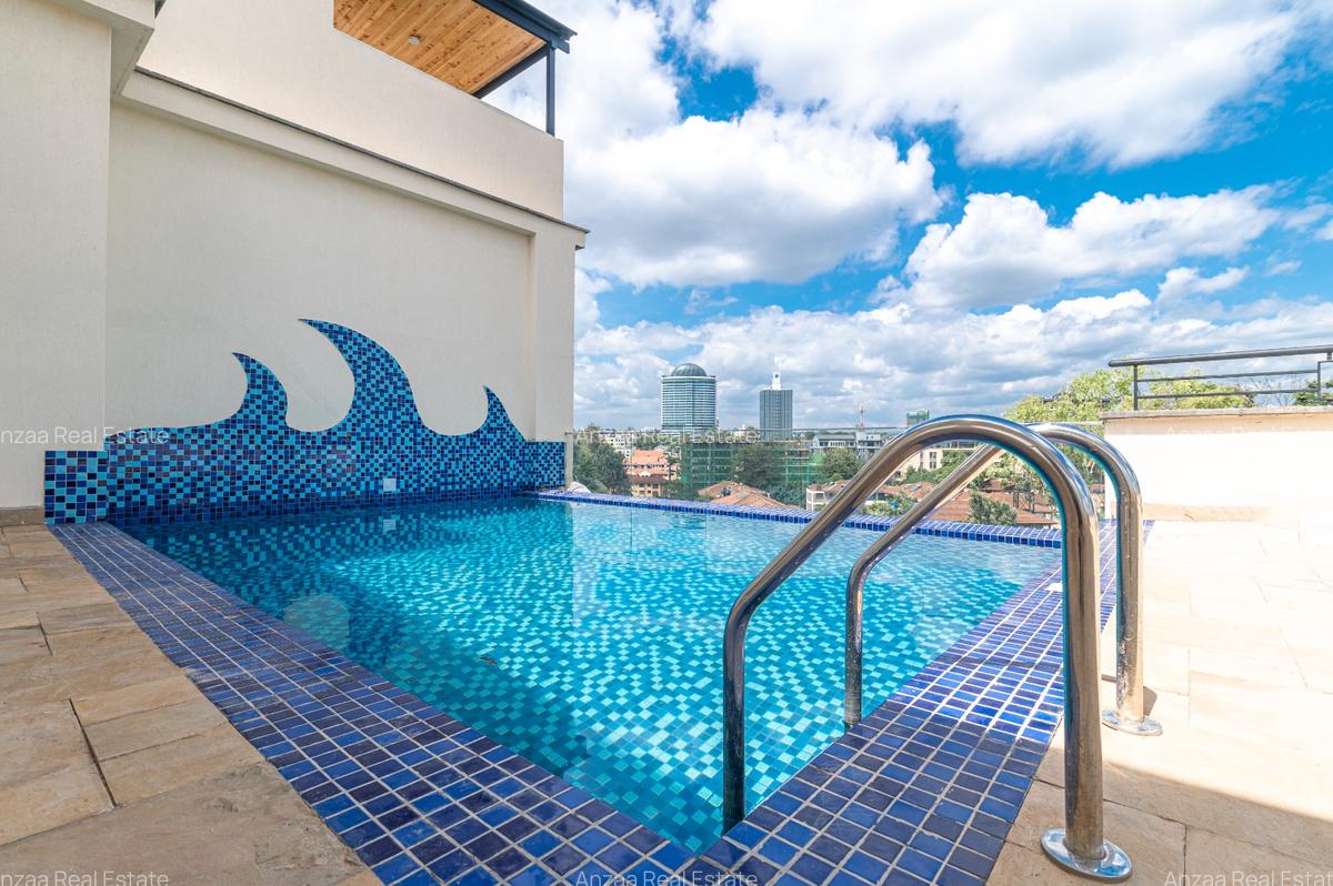1 Bed Apartment with Swimming Pool at David Osieli Road - 9