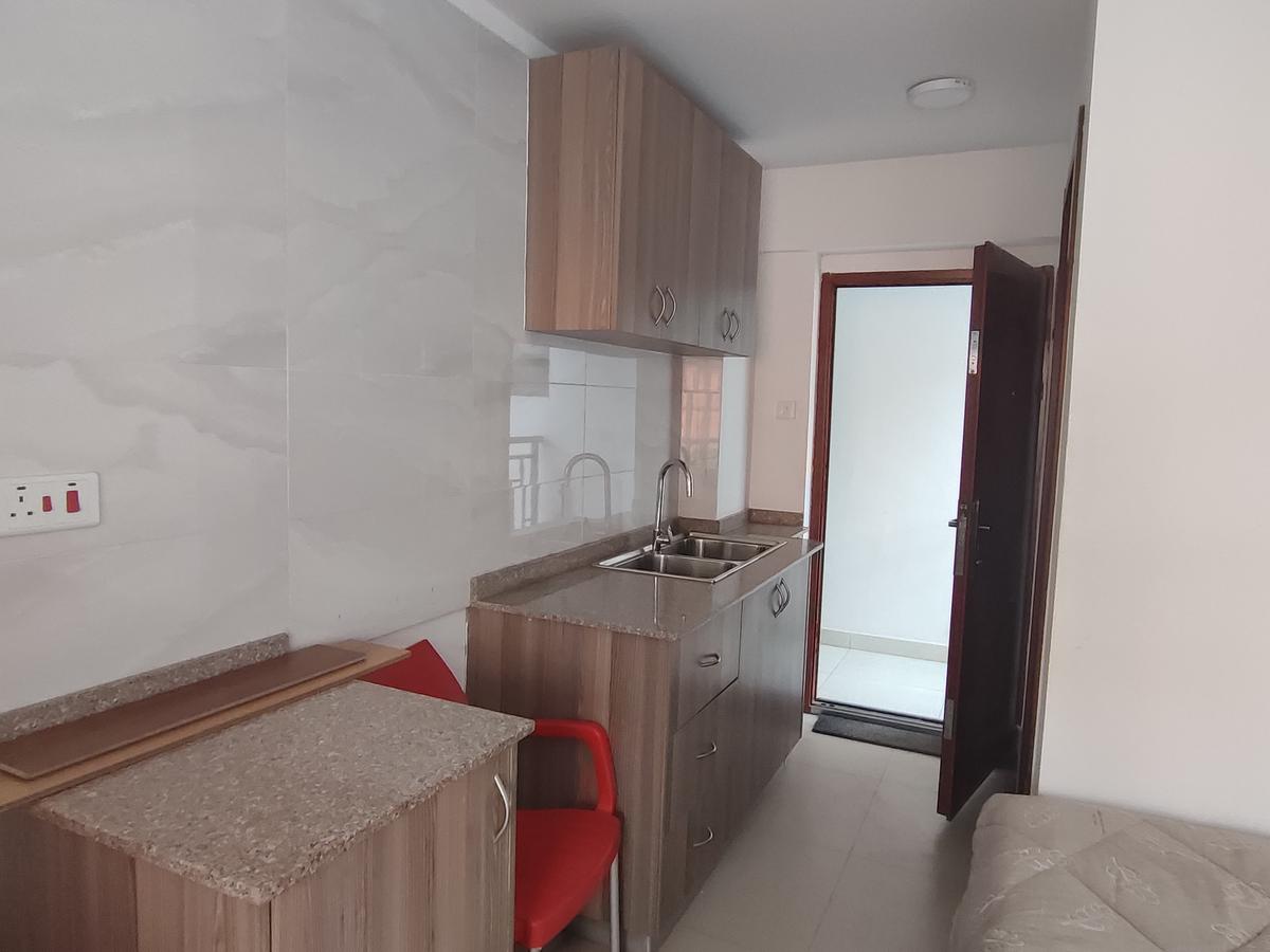 Studio Apartment with En Suite in Nairobi West - 5