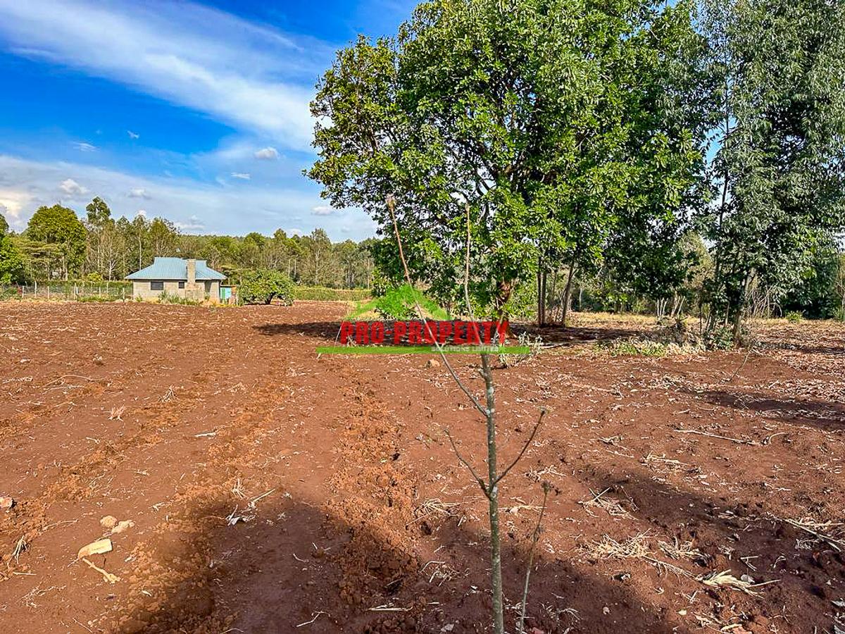 0.05 ha Residential Land at Riu Nderi - 9