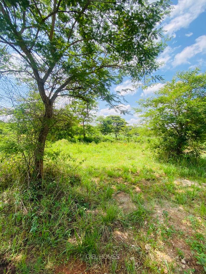 19 ac Land at Kenol-Makutano Highway - 14