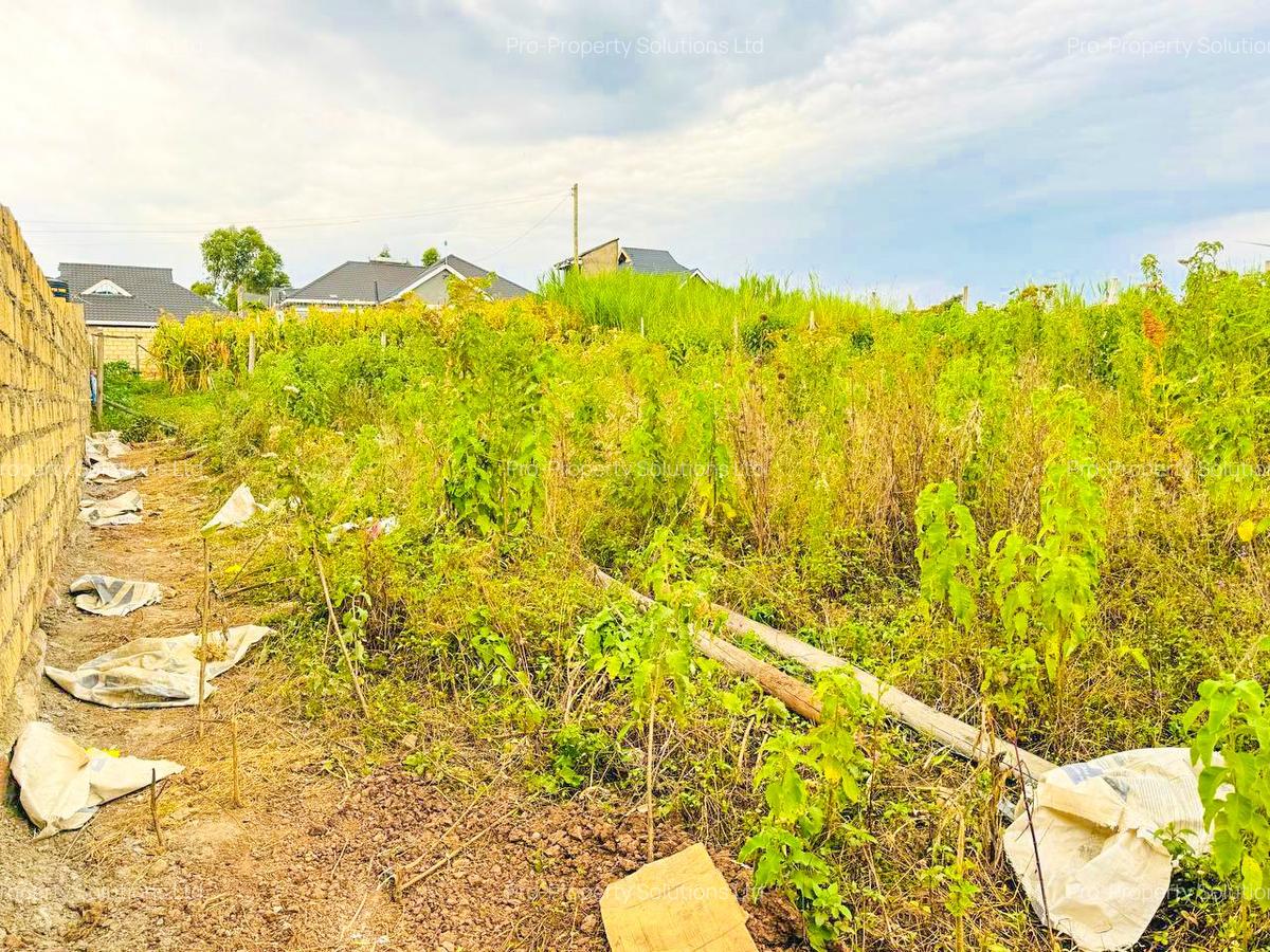 0.05 ha Residential Land at Thigio - 3