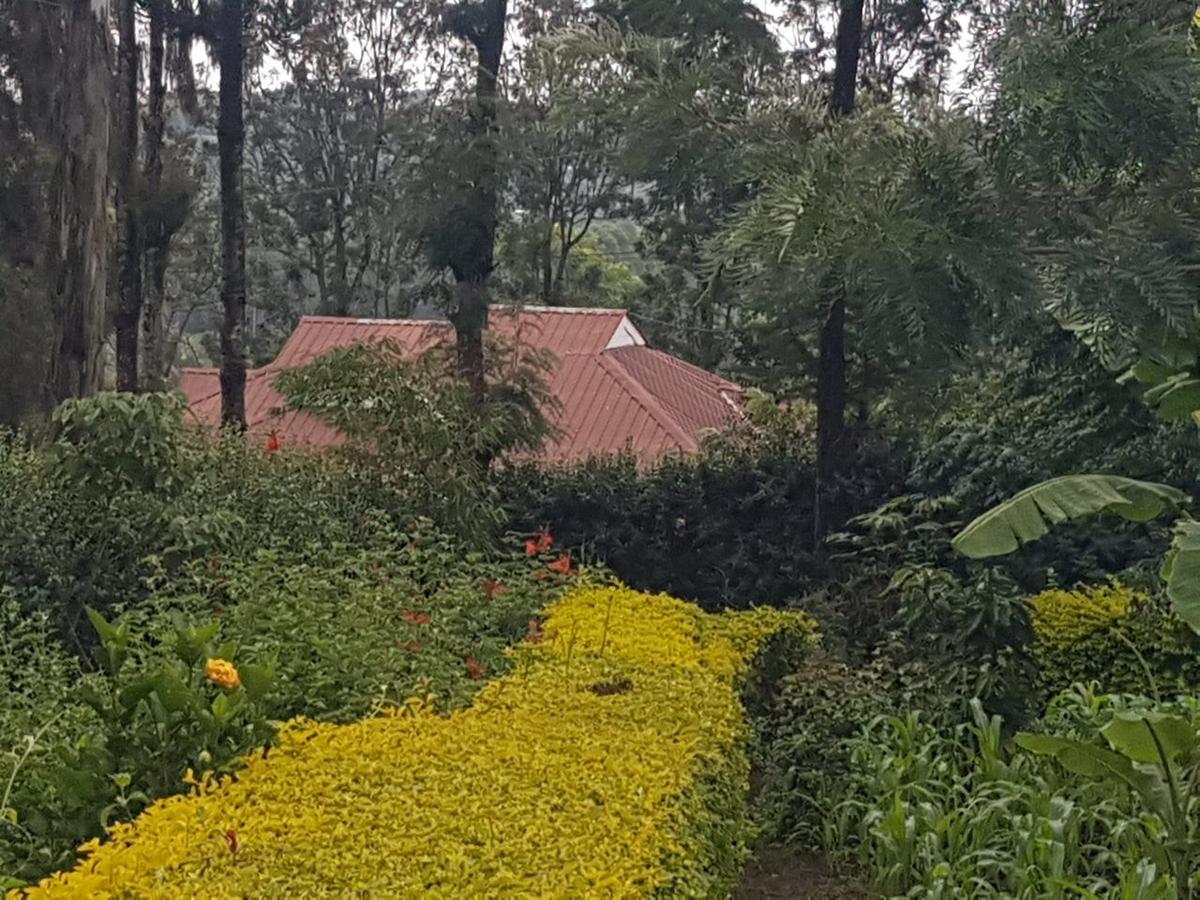 1.25 ac Land in Ngong - 8