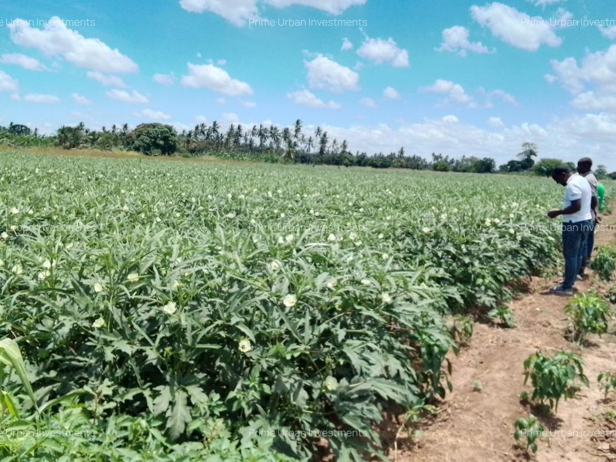 300 ac Land at Matolani - Sabaki River - 6