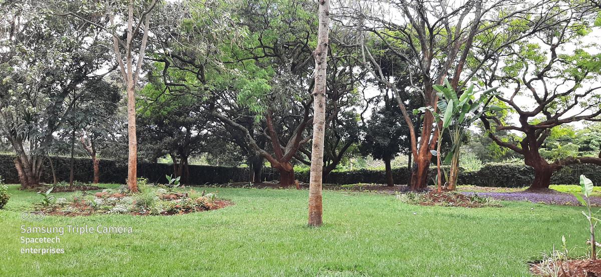4 Bed House with Staff Quarters in Runda - 4