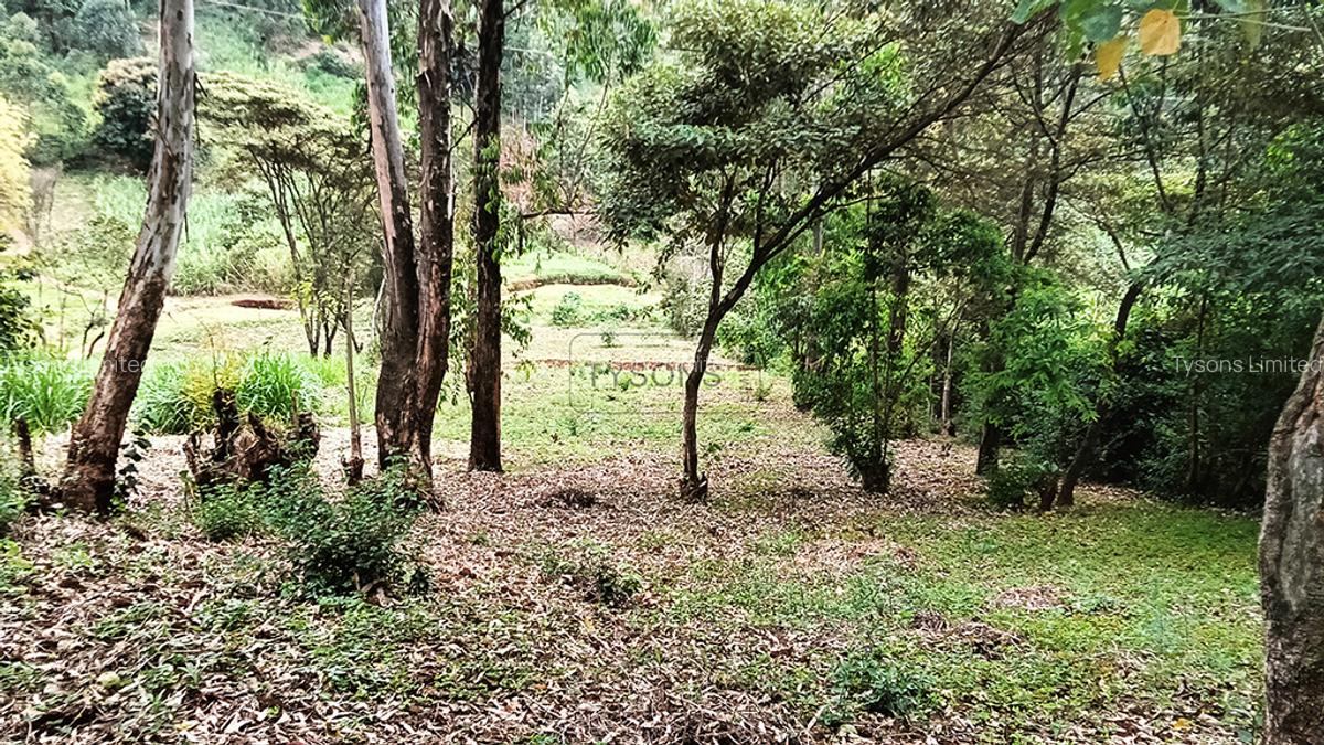 0.741 ac Land in Ruaka - 5