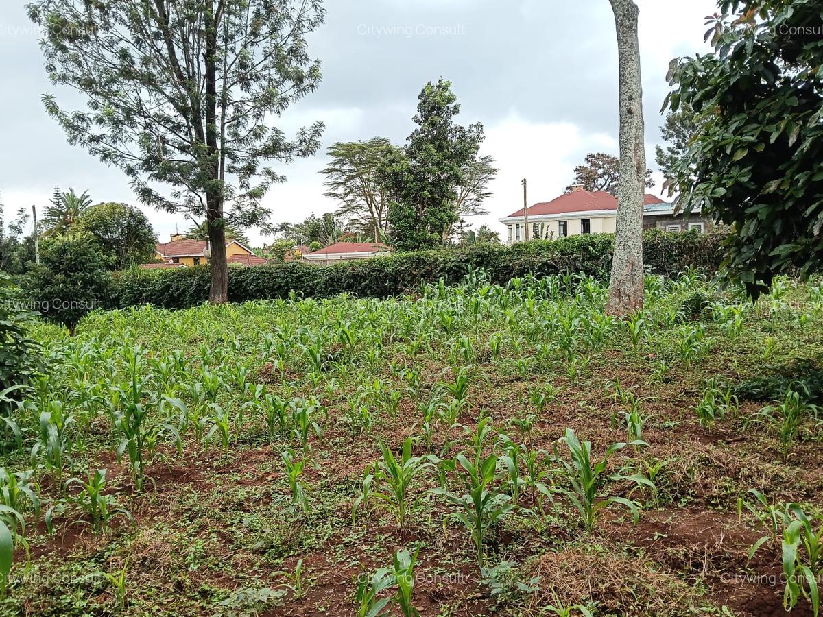 Land at Mimosa Road - 8
