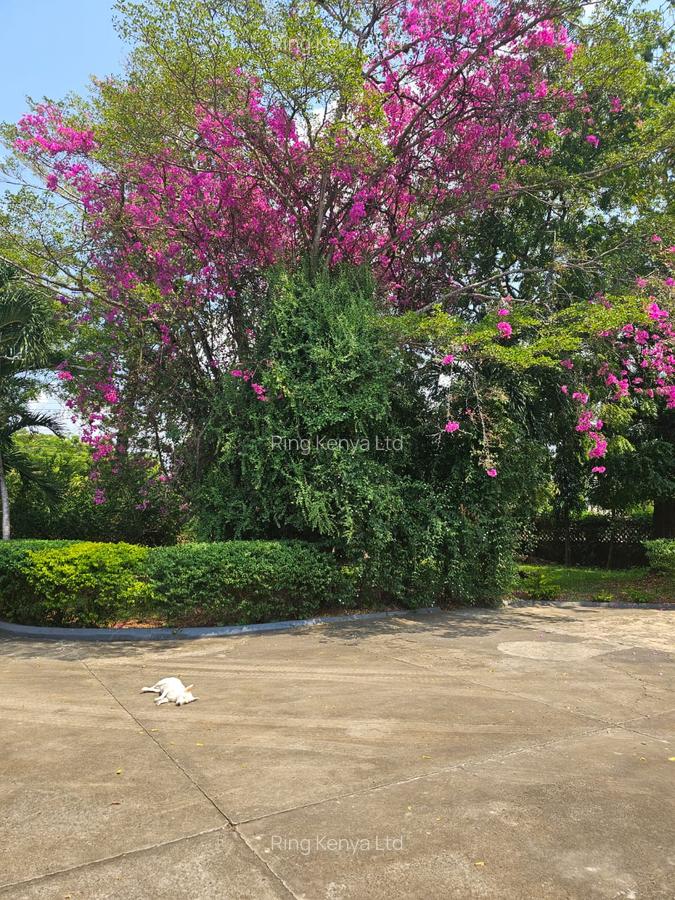 4 Bed House with Staff Quarters in Nyali Area - 6