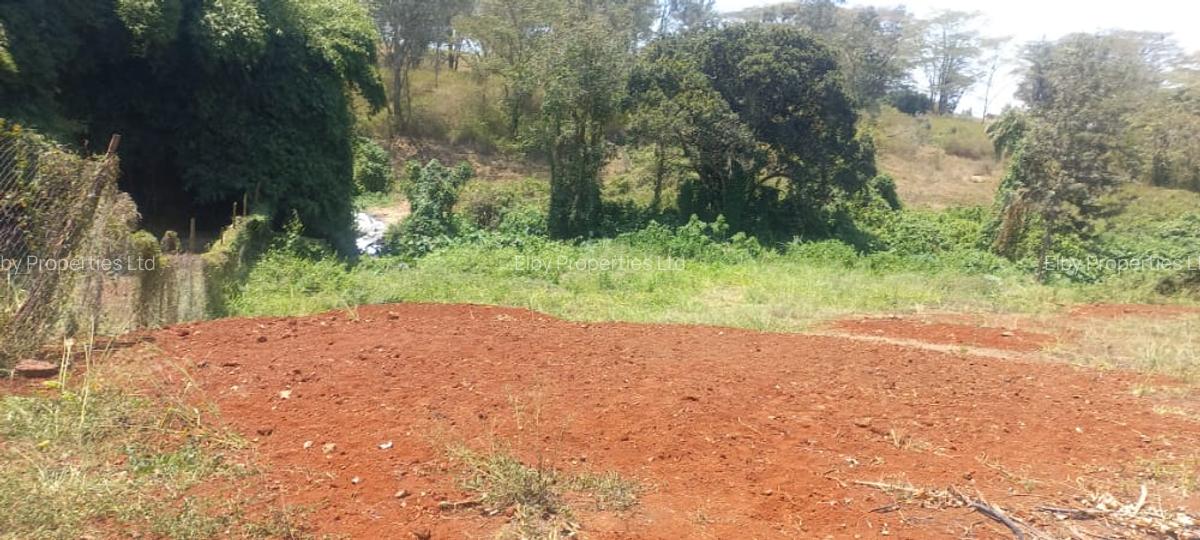 0.5 ac Residential Land at Muthithi - 16