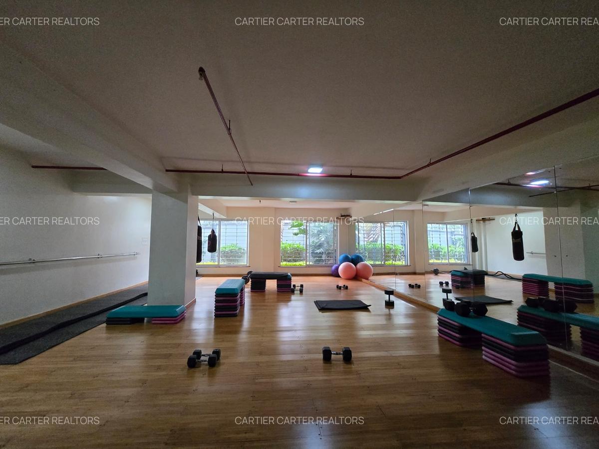 Furnished 2 Bed Apartment with En Suite in Kiambu Road - 19