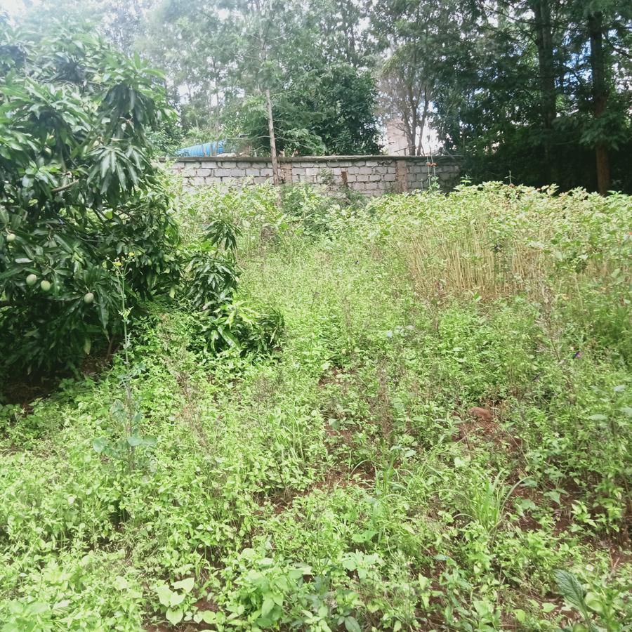 0.25 ac Land at Ngong - 5