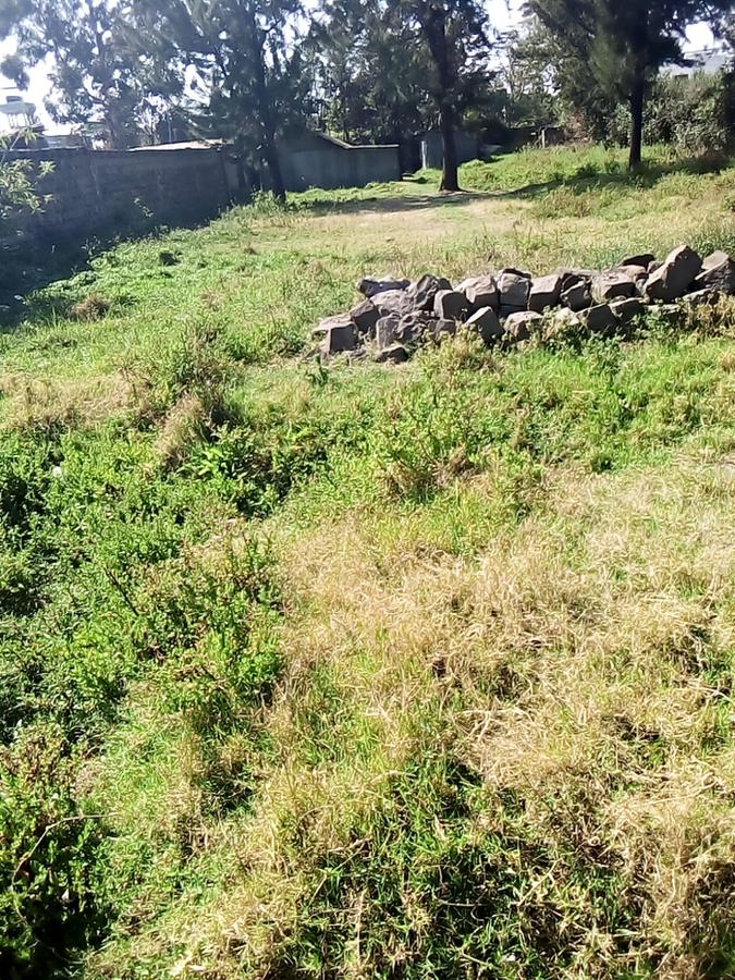 0.5 ac Land at Bulbul Ngong Nairobi Town - 6