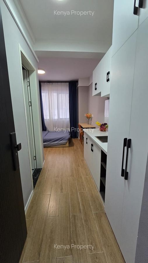 Studio Apartment with Swimming Pool at Wanyee Road Off Naivasha Road - 1