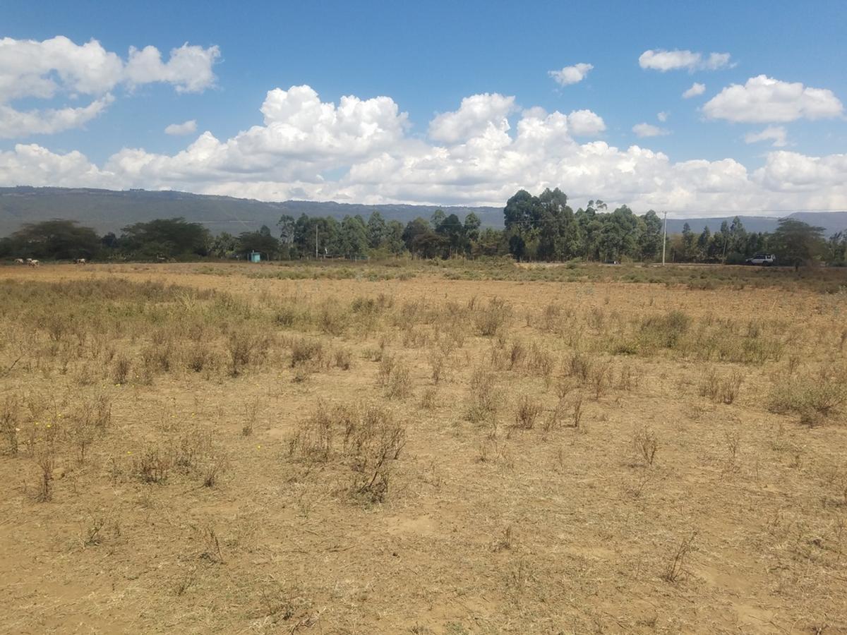 Land in Mai Mahiu - 8