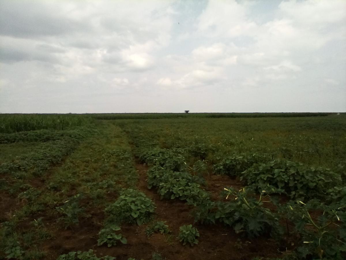 Land at Nanyuki-Rumuruti Rd - 7