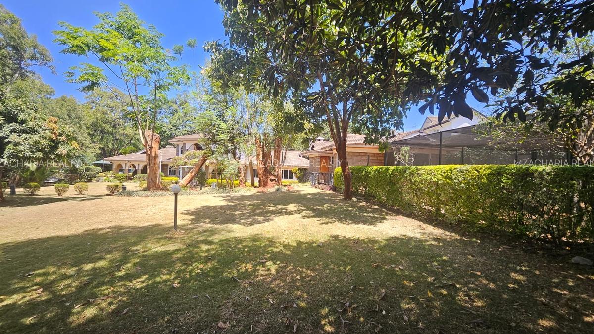 1 ac Commercial Property with Backup Generator in Lavington - 1