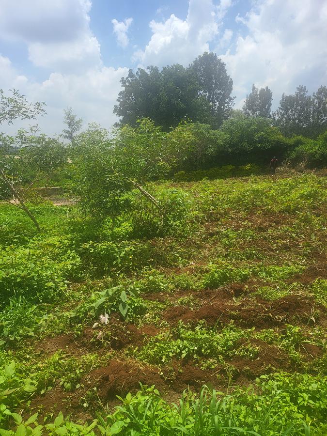 Land in Karen - 6