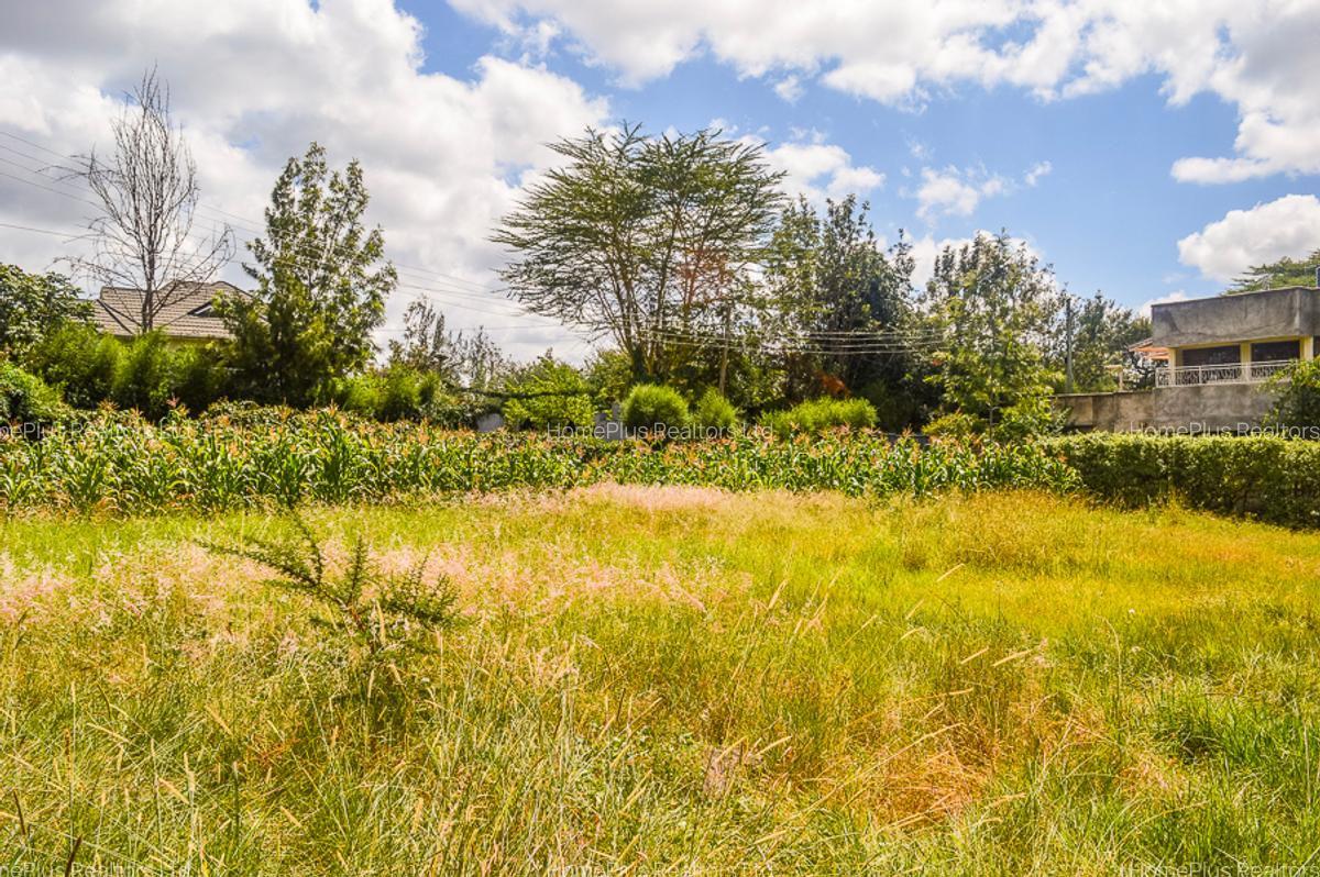 Residential Land at Ole Pasha Drive - 1