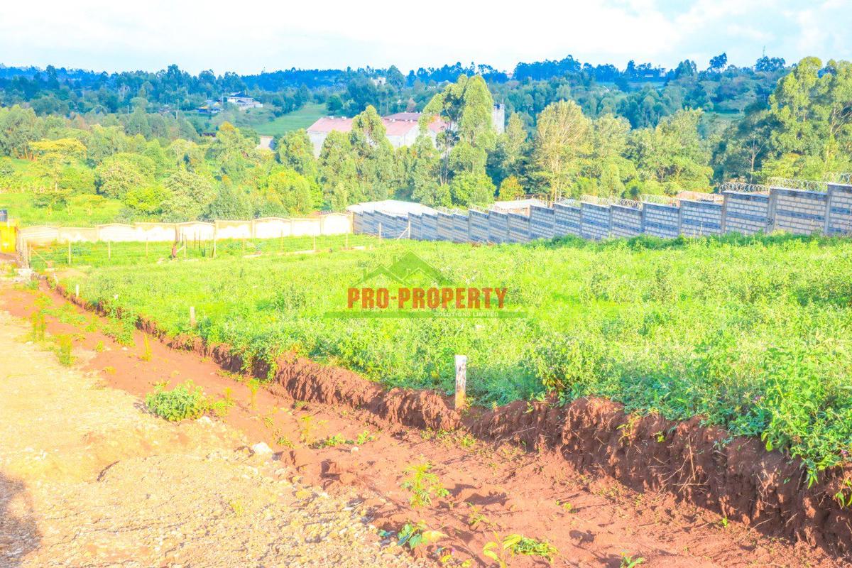 0.05 ha Residential Land at Lusingetti - 8