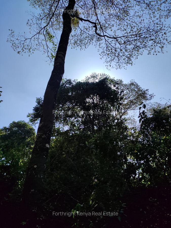 0.5 ac Land at Hardy - 16