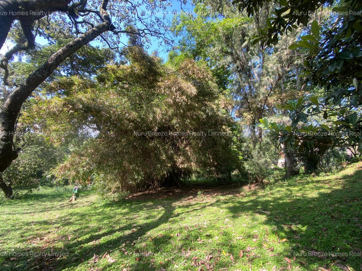 1.25 ac Residential Land in Kyuna - 13