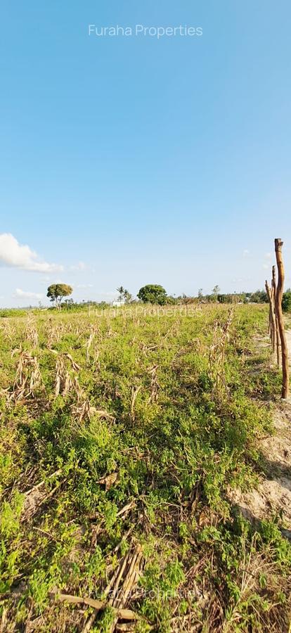 Land in Kilifi - 15