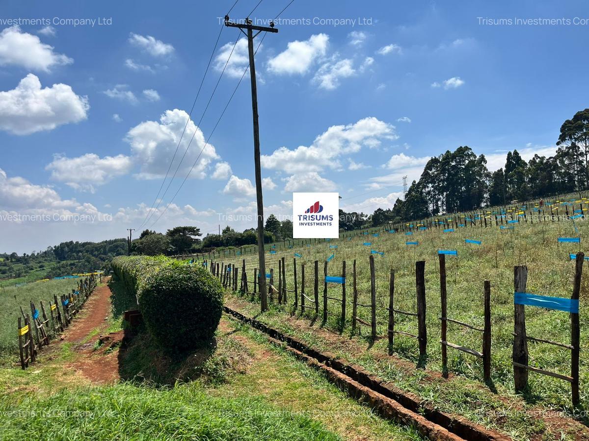 16.5 ac Land in Tigoni - 12