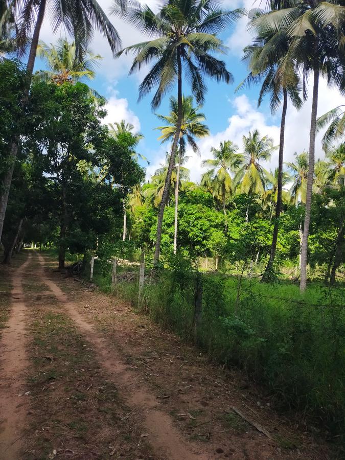Land in Kilifi County - 4