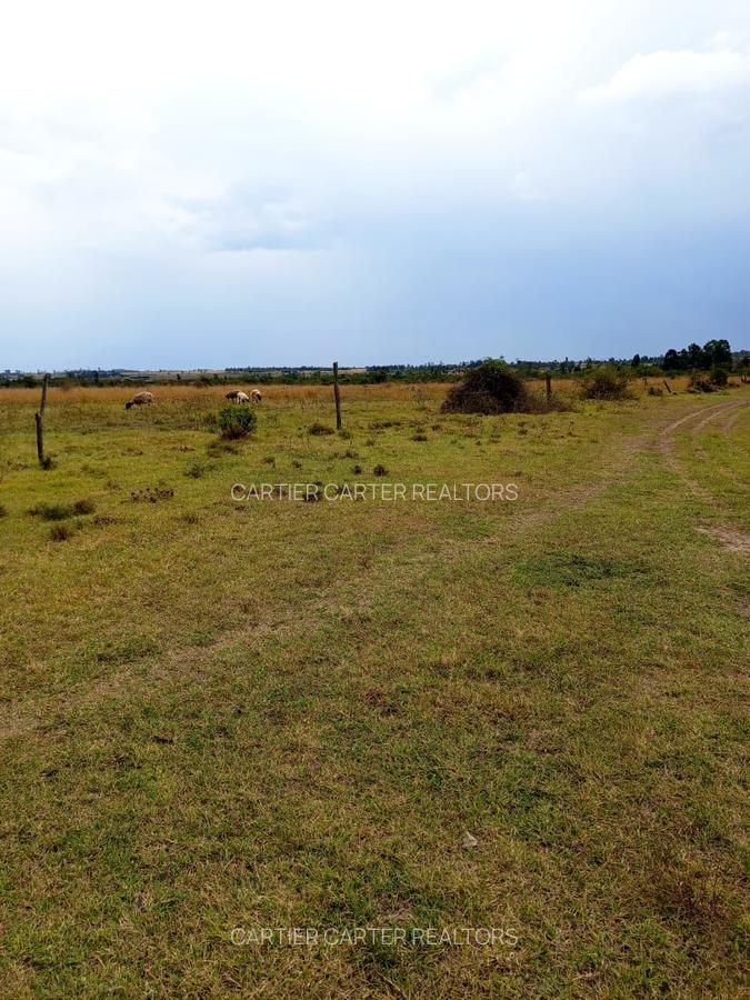 4 ac Land in Nanyuki - 1