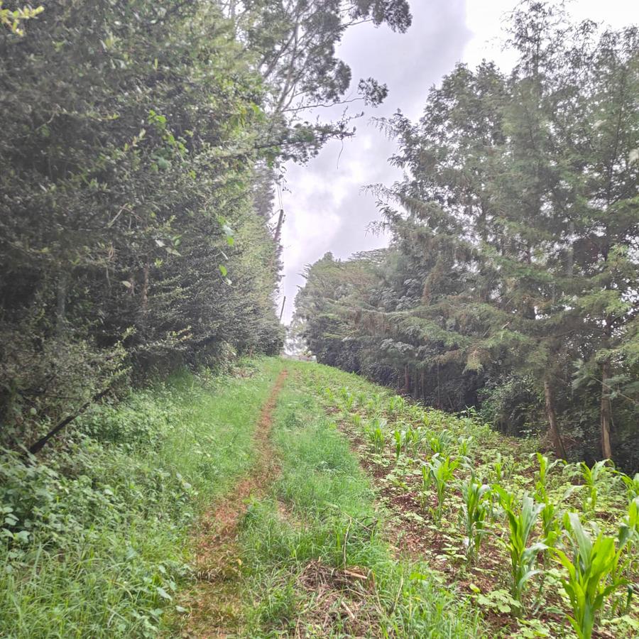 1 ac Land at Ngong - 7