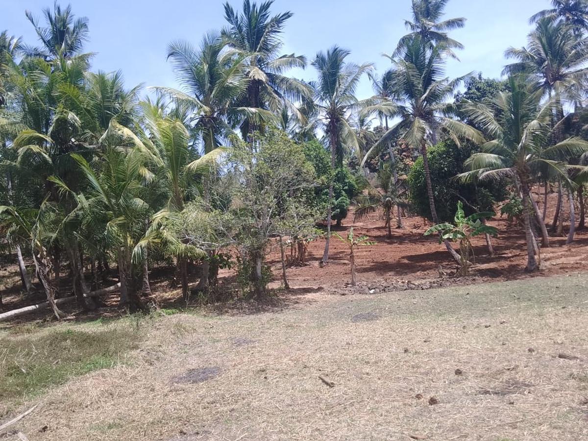 90 ac Land at Ridge - 1