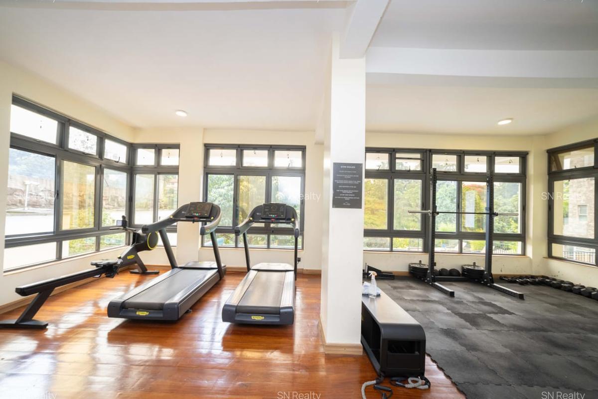 Furnished 4 Bed Apartment with En Suite in Spring Valley - 19