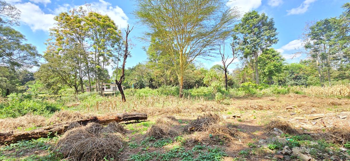 Residential Land at Shanzu Road - 19