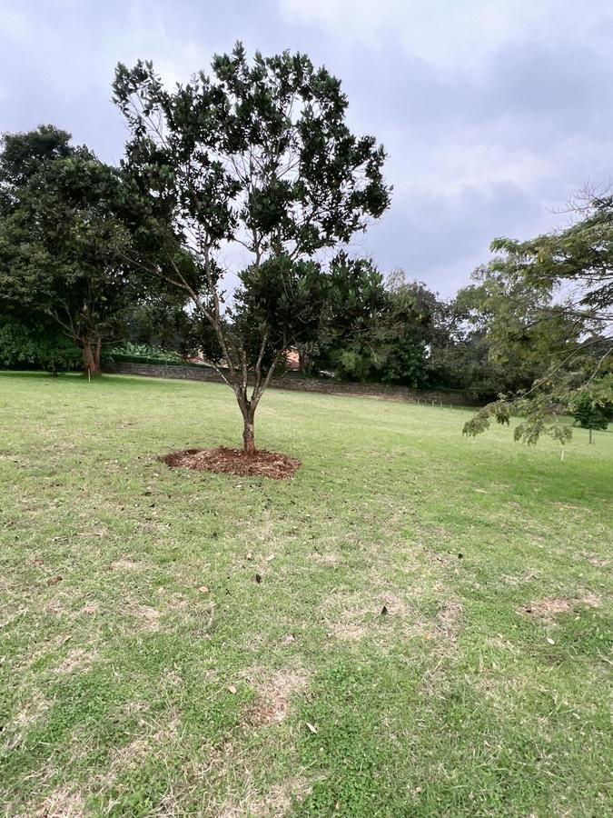 1 ac Land at Karen Hills - 3