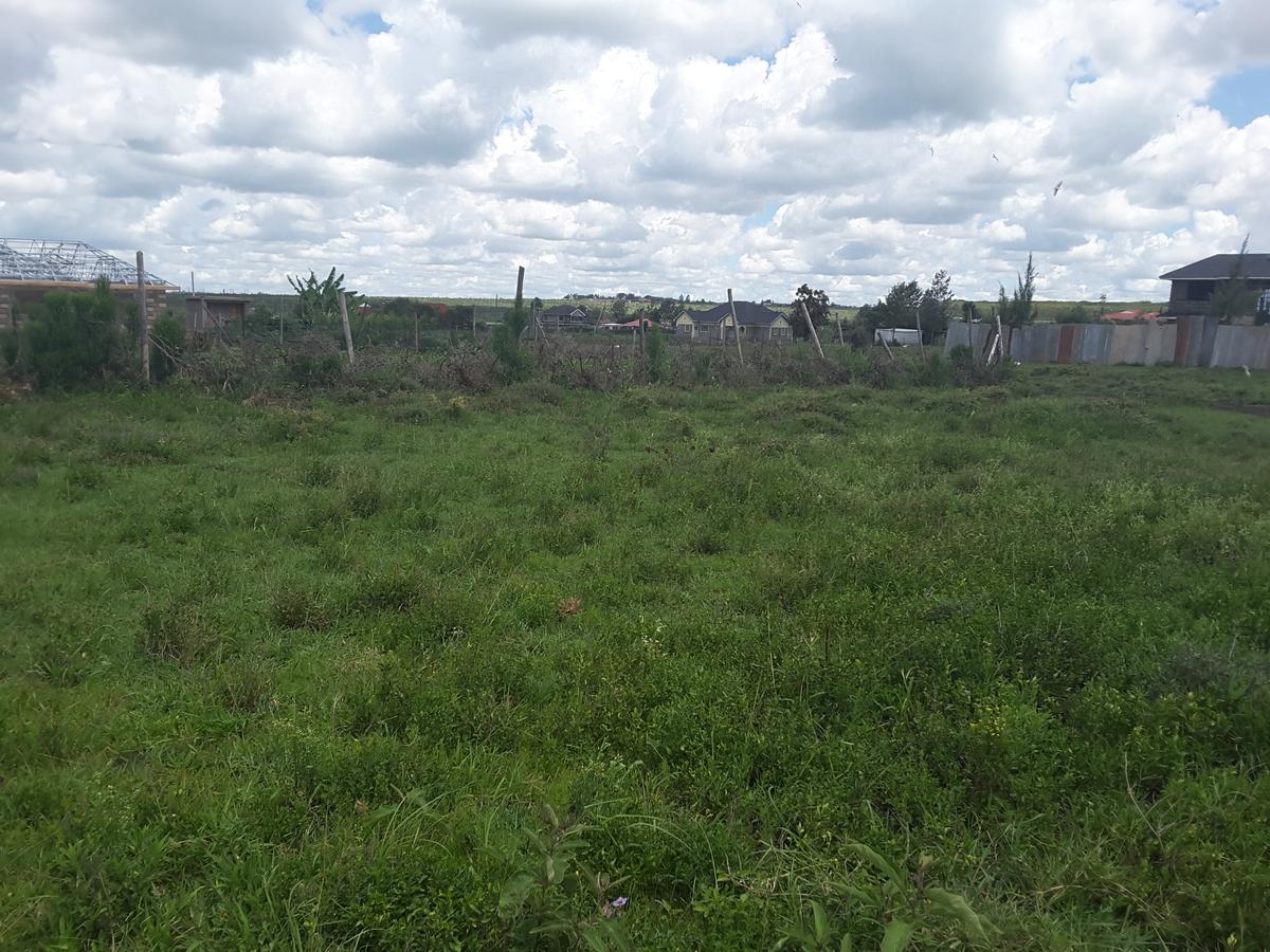 0.1 ha Residential Land in Ongata Rongai - 6