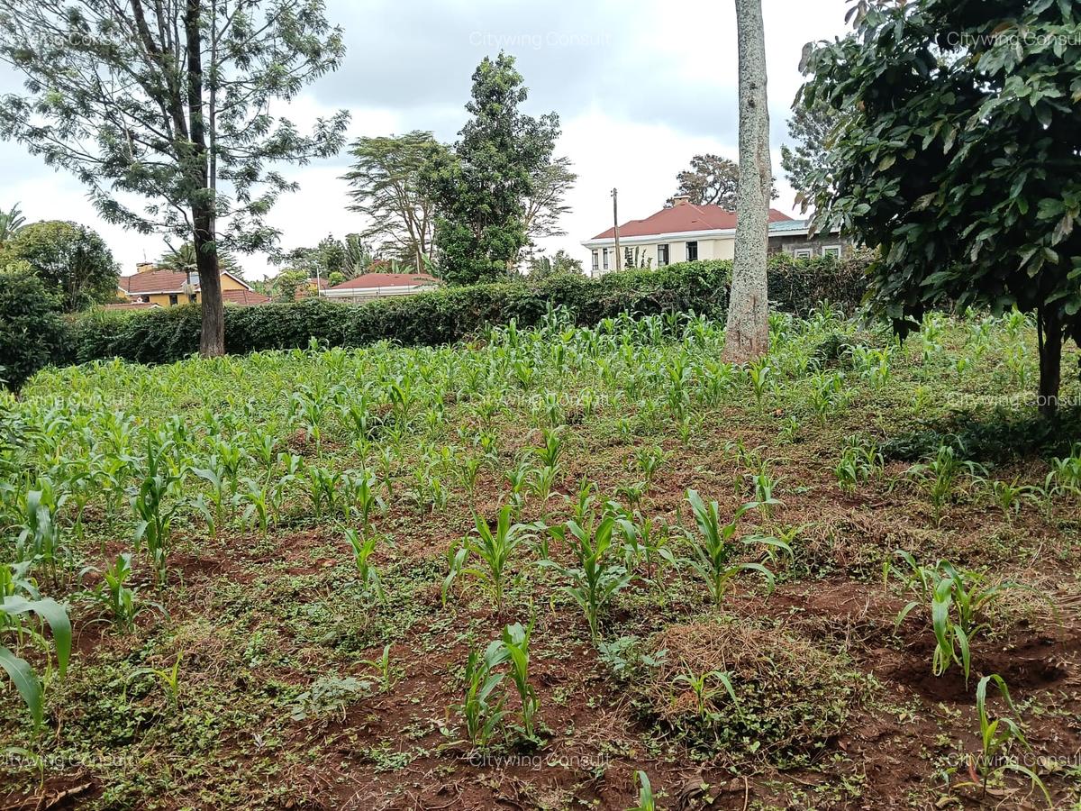 Land at Mimosa Road - 6