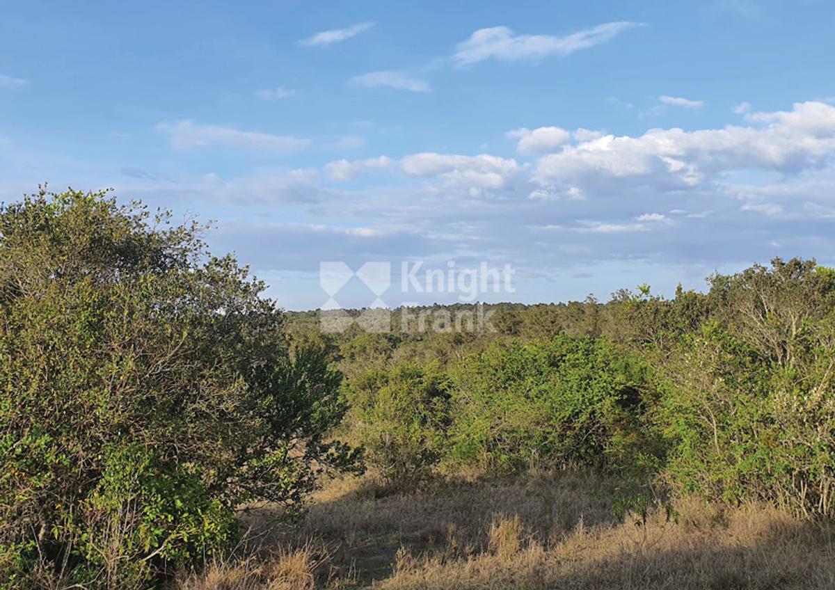 10 ac Land in Nanyuki - 1