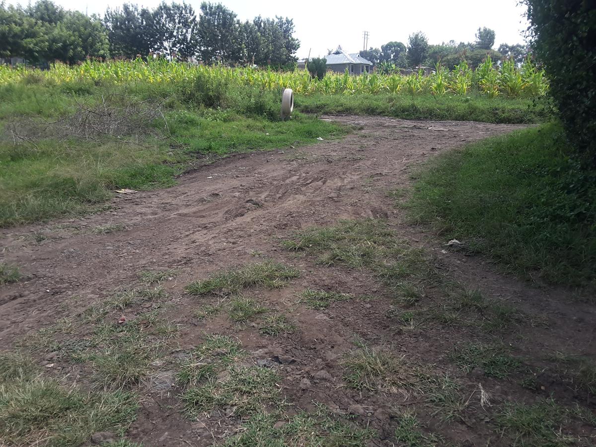 0.125 ac Residential Land in Ongata Rongai - 5