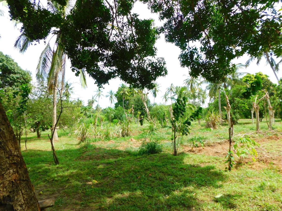 8 ac Land in Kikambala - 10