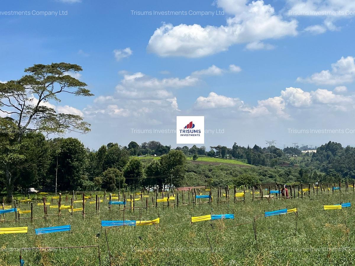 16.5 ac Land in Tigoni - 3